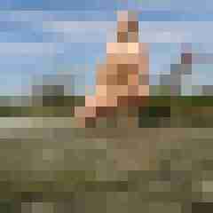 9 Bilder von el_calvo