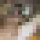 Ilse_45
