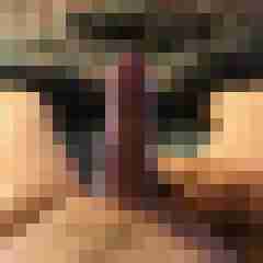 poppyxxx1