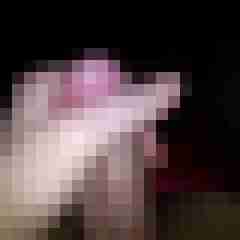 LiebeBisex