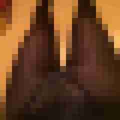 nylonlover15