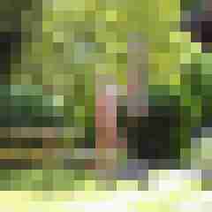 8 Bilder von andy0