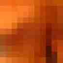 Hengst690