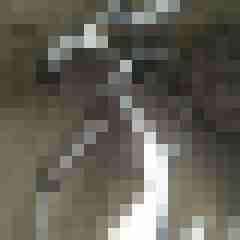 carad