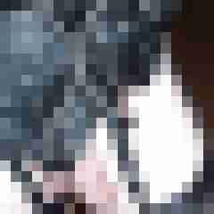 bipr37