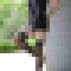 bipr37