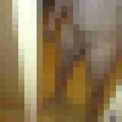 mundman