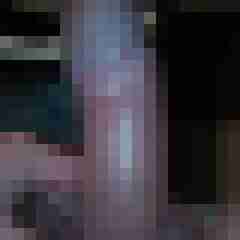 sireene