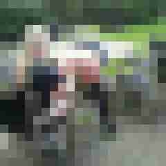 KnallerKR