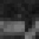Phorus