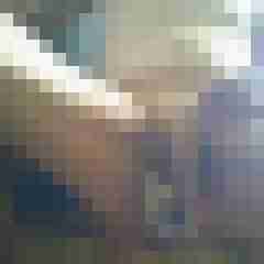 hugowolf60