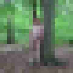 pimperion