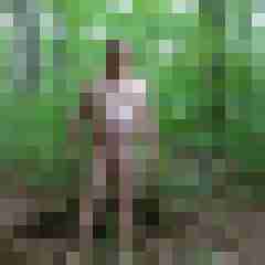 pimperion