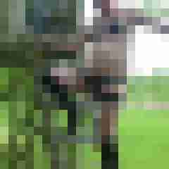 HDHHASE