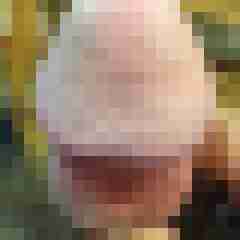 KP_Nobody