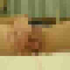 TomGriep