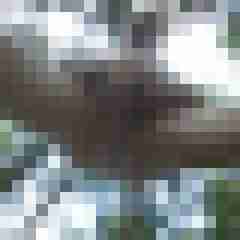 hasenlochx66