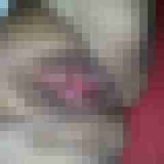 SweetAndDate