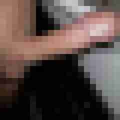 patte83
