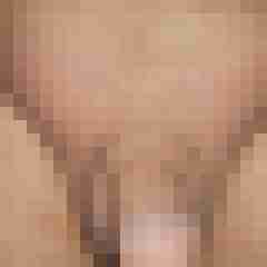 devote17cm