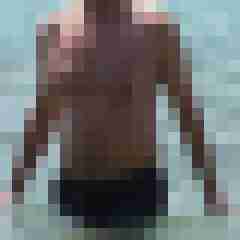 rogerspitz