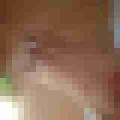 exib1