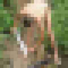 seemann0706