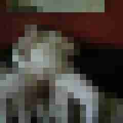 geilesPaar6666