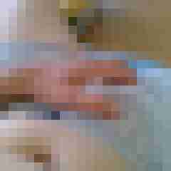 patte83