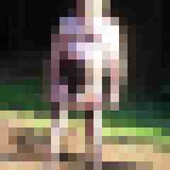 franzie01