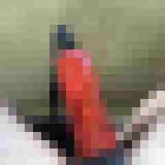 cumlover