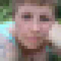 Mistbiene