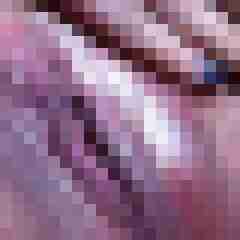 wolven71