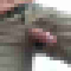 Hotcock20x5
