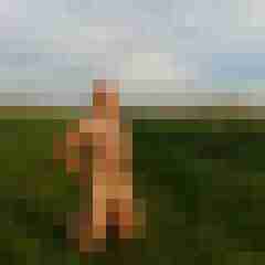 9 Bilder von el_calvo
