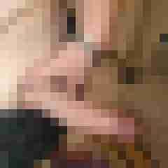 pornotnthase