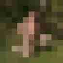 andy14
