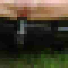 toppoint123