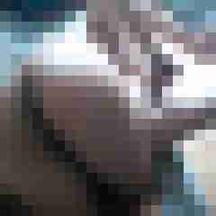 gerrycn