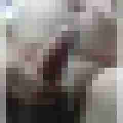 exib1