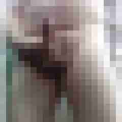exib1