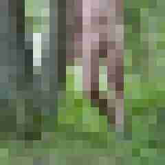 doline