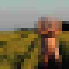 9 Bilder von picshot