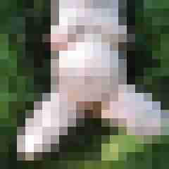 Nylongeiles_Paar