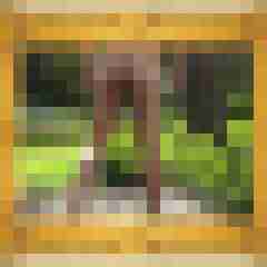 hasehase23