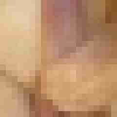 exib1