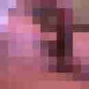 hengst1234