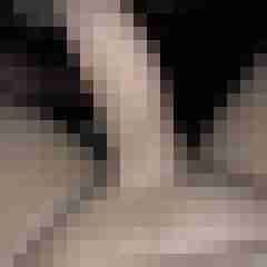 magne1