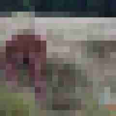 testpaar3142