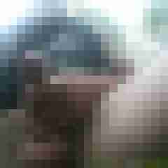 DeinBiDiener